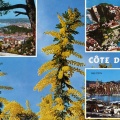 Cote d Azur