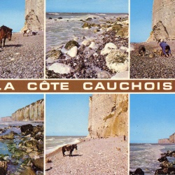 Cote Cauchoise