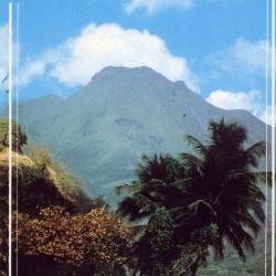 Mont Pelee