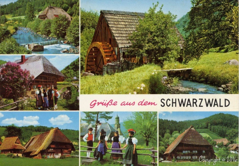 Schwarzwaldwinter