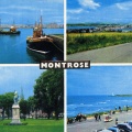 Montrose