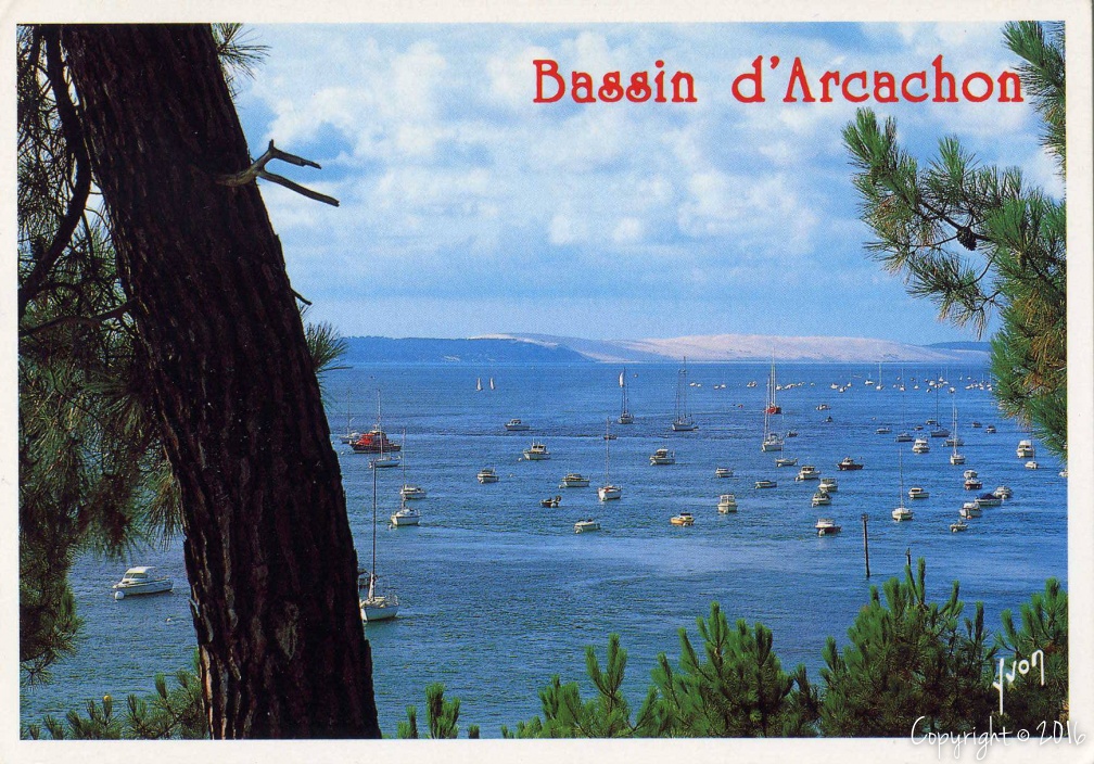 Bassin d Arcachon